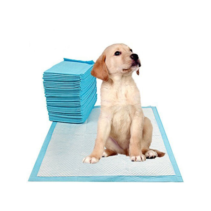 Szobatisztasági szőnyeg kutyáknak 60x60 - 40db