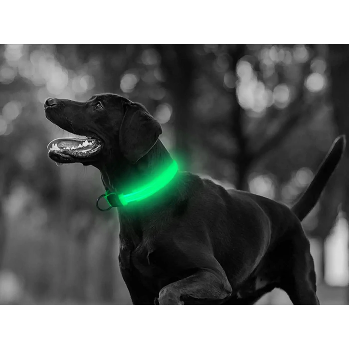 Led világító nyakörv 