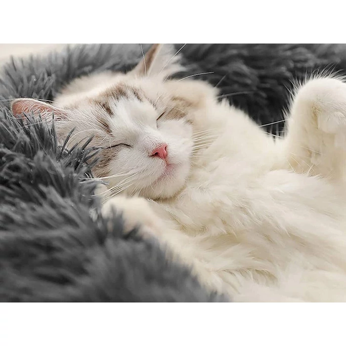 Kutya, macska plüss fekhely, 100 x 15 cm, sötét szürke