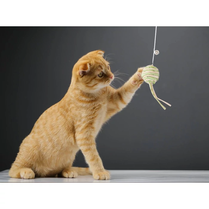 Papírlabda csörgő macskajáték