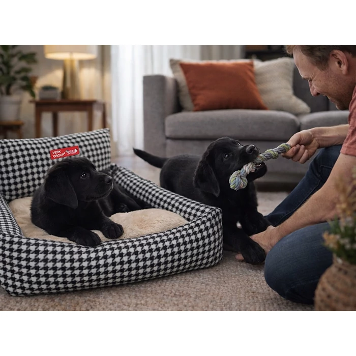 Kutyafekhely kisebb méretű kutyáknak, háttámlával, 60 x 50 cm